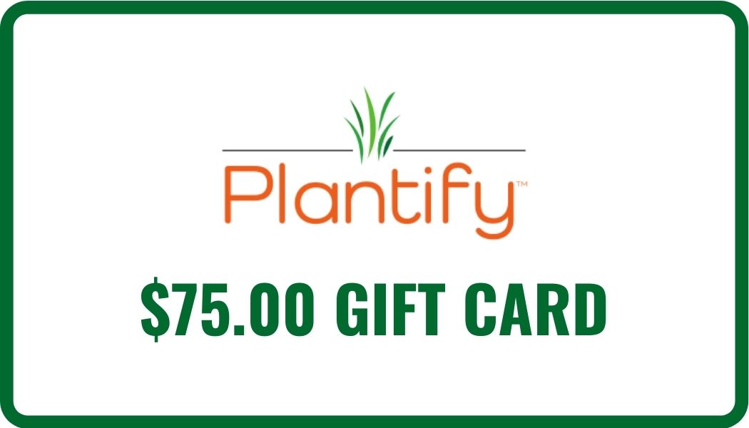 $75 @ Plantify