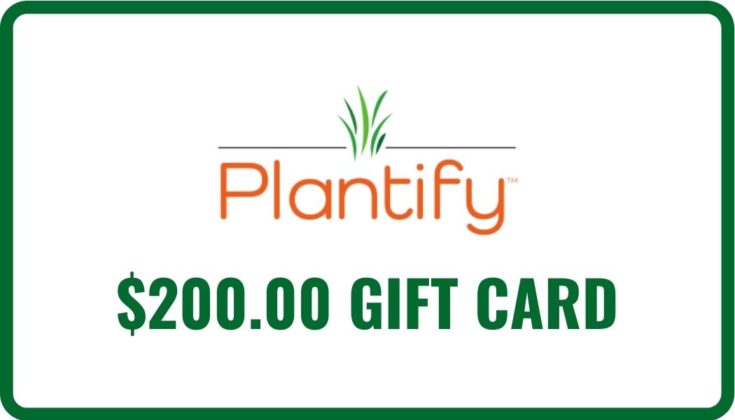 $200 @ Plantify